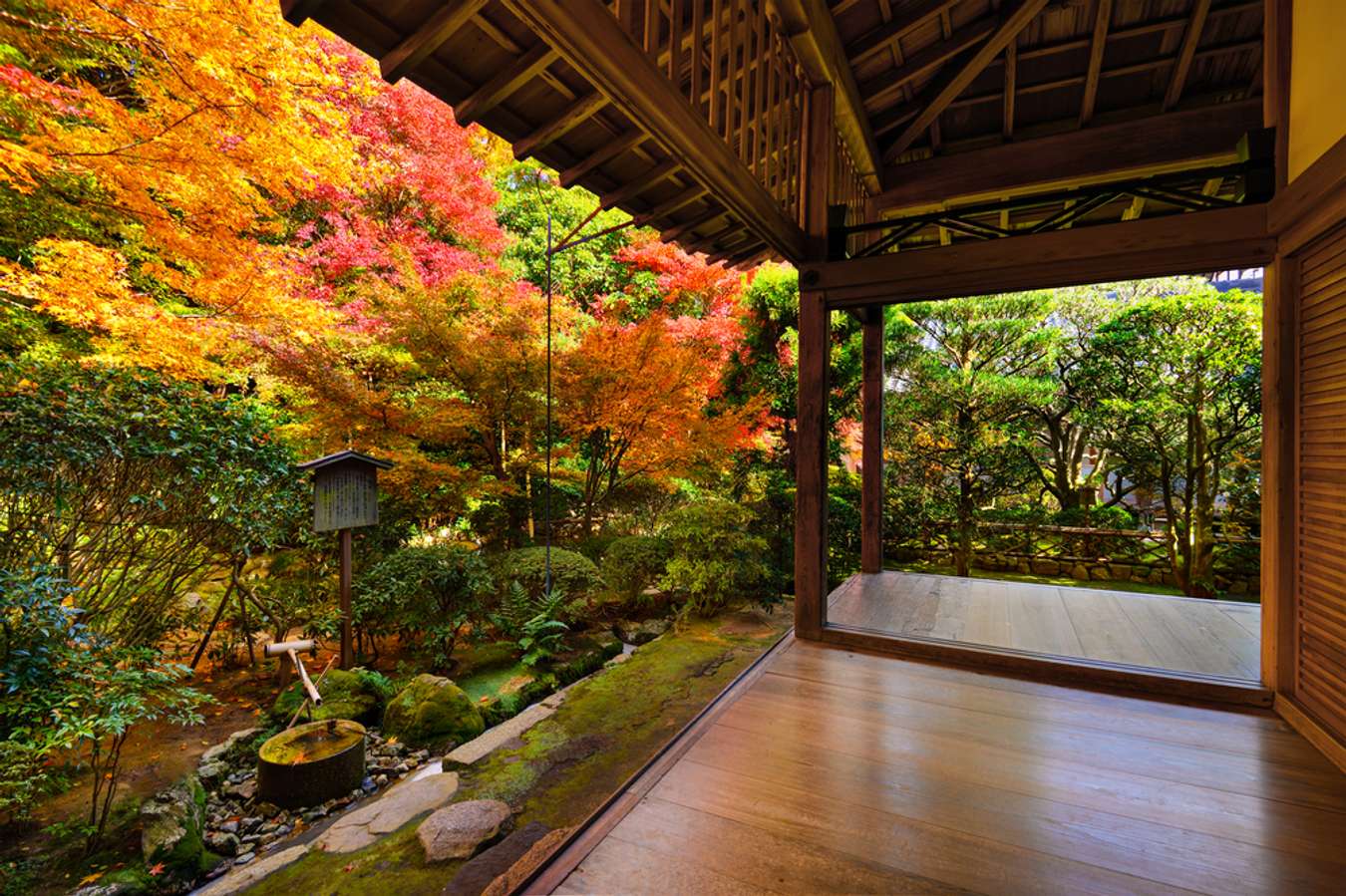 arashiyama bamboo grove visit