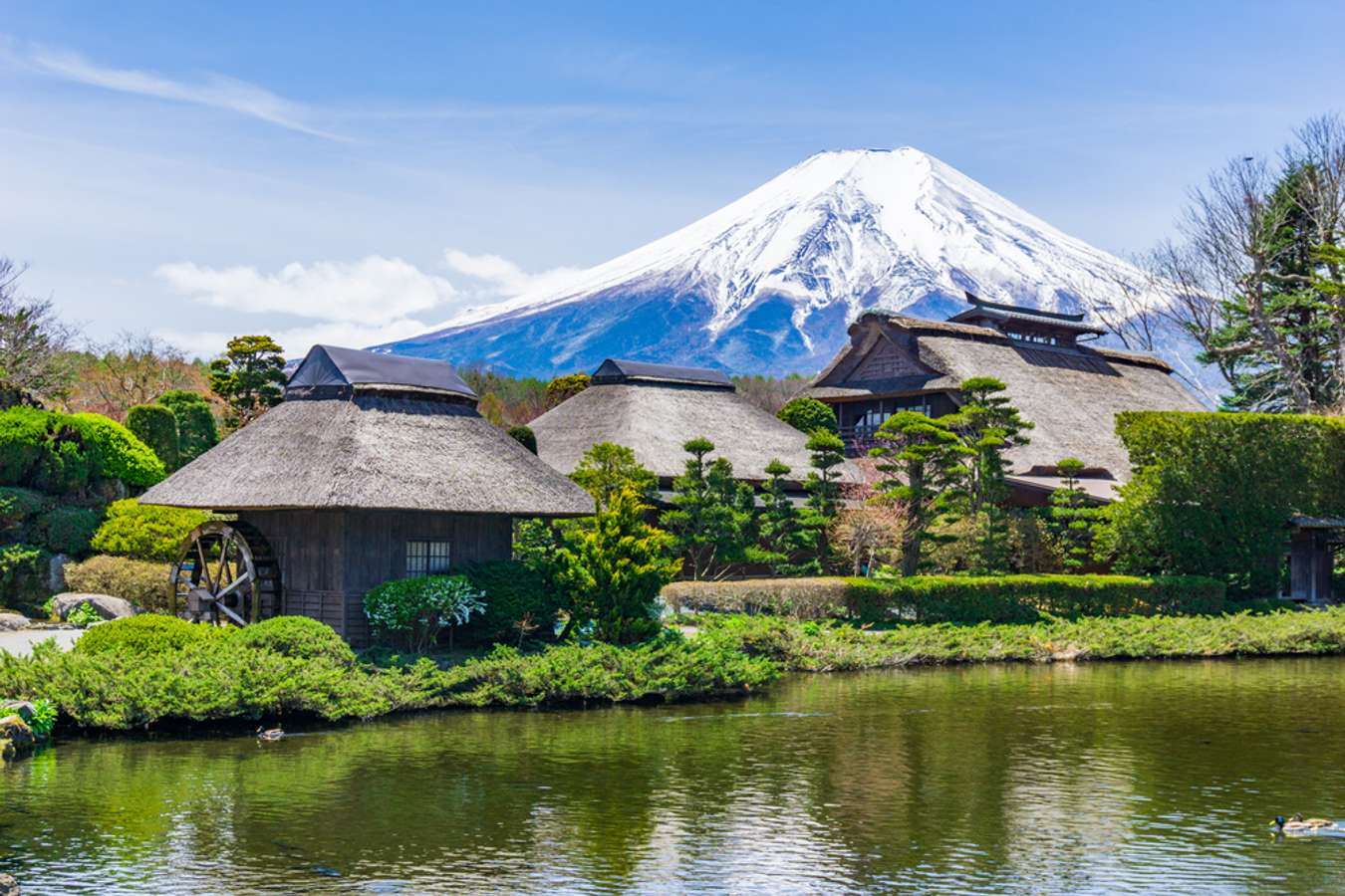 travel to mount fuji