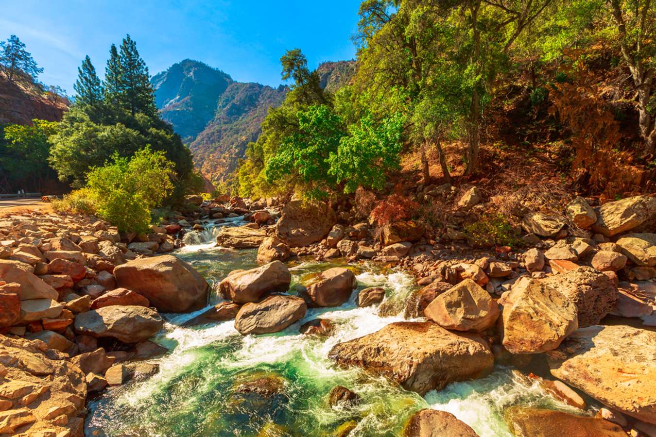 kings canyon tour from alice springs