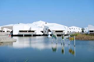 Exploring the Natural Beauty of Taiwan National Parks, SEO Accom (Global)