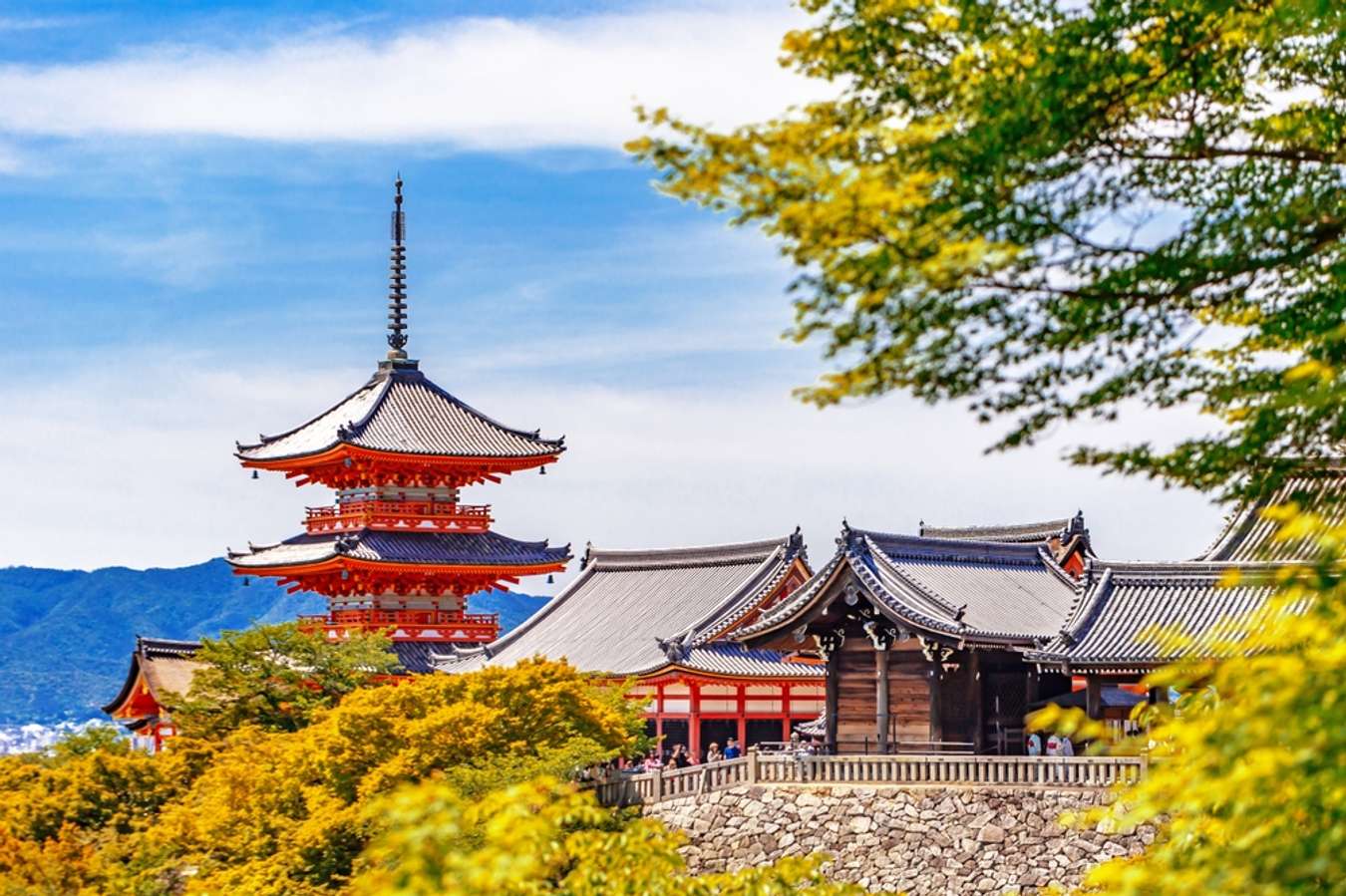 arashiyama bamboo grove visit