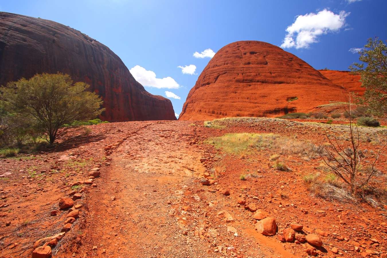 kings canyon tour from alice springs