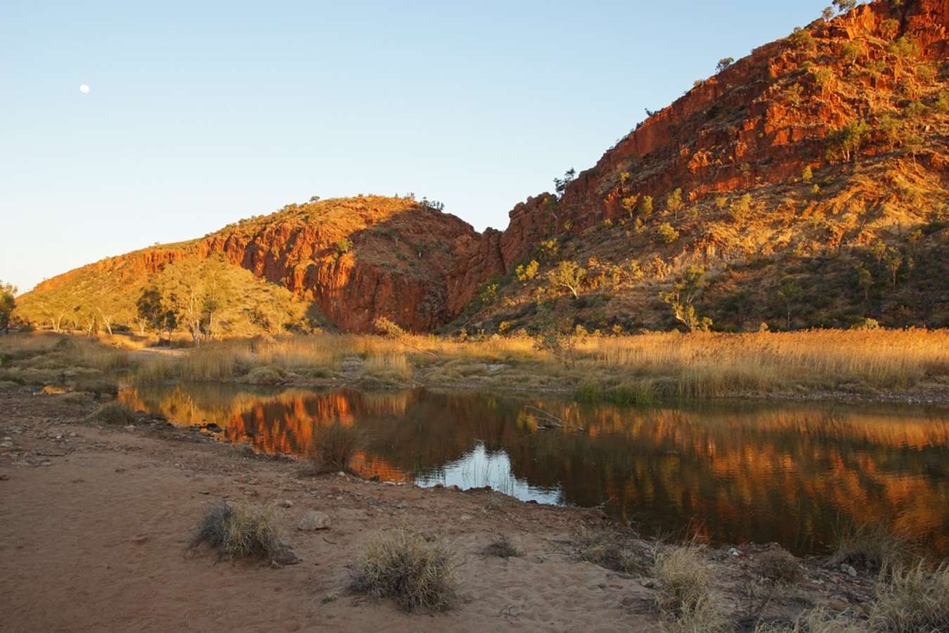 kings canyon tour from alice springs