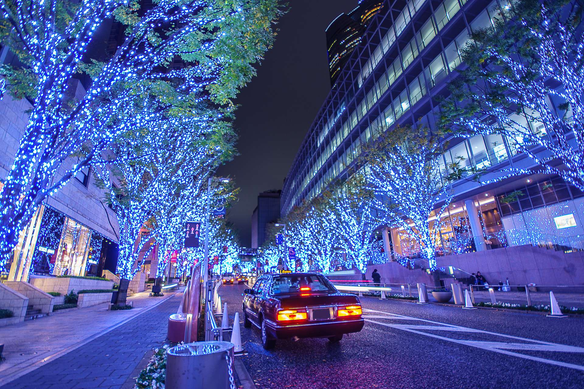 A Winter Wonderland: Things to Do in Japan in December, Xperience Team