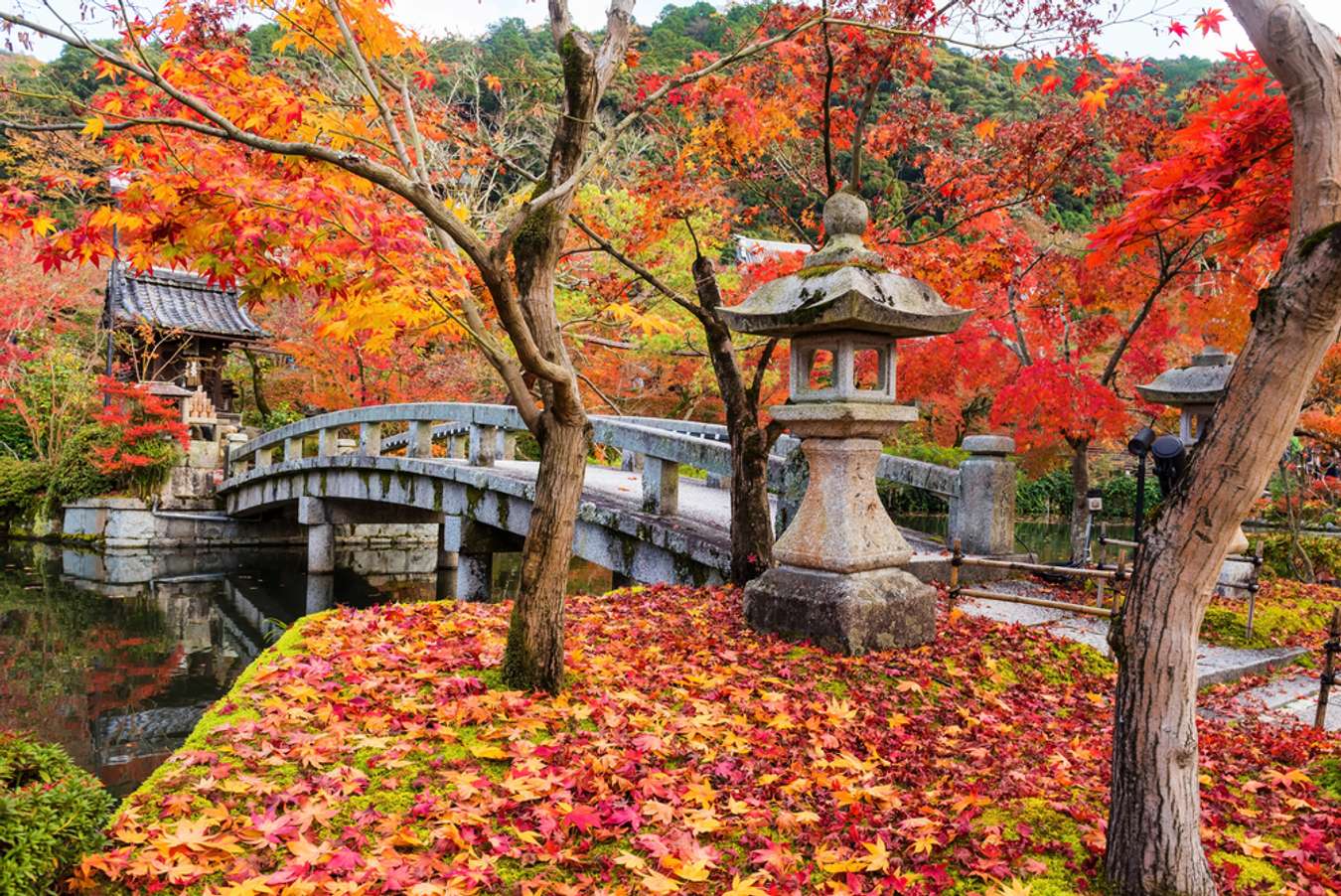 arashiyama bamboo grove visit