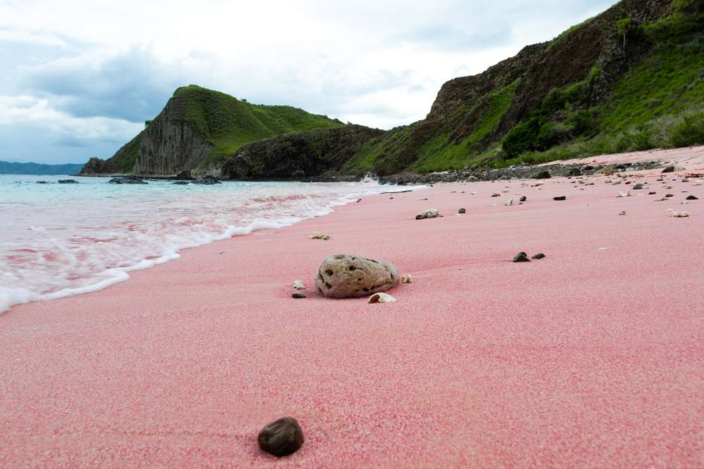 Exploring Pink Beach: A Hidden Gem in Labuan Bajo