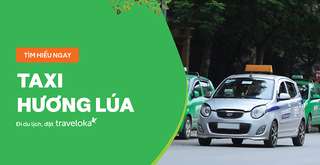 Review hãng taxi Hương Lúa: giá cước, dịch vụ, số hotline, Nguyễn Thụy Mộc Nhiên