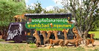 Discover Safari World: Bangkok Adventure with Wild Animals, Traveloka TH