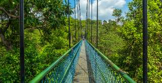 A Complete Guide to MacRitchie Nature Trail, Singapore, Xperience Team