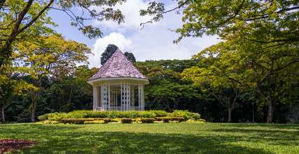 10 Things to Do in Singapore Botanic Garden