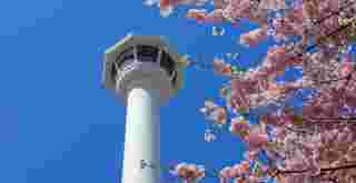 7 Top Instagrammable Spots in Busan You Must Visit, Xperience Team
