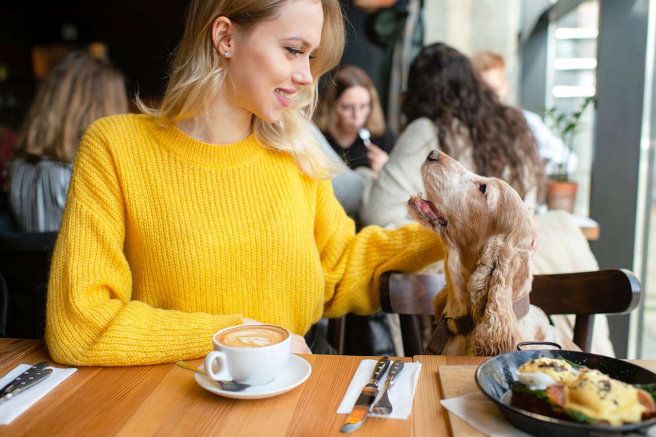 Woman enjoy her coffee, food and play with dog in Petztopia Café