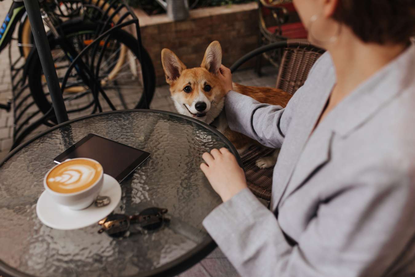 Woman touches dog in Sun Ray Café and order coffee