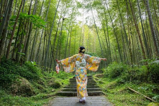 Hidden Gems: Unique Hotels in Japan You Must Experience, SEO Global