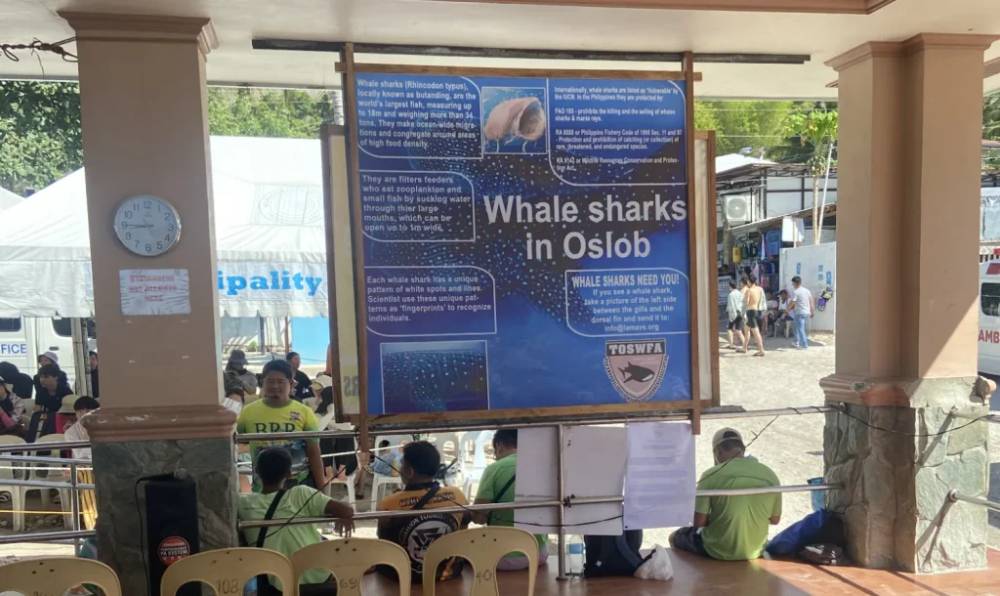 Bảng thông tin về whale shark