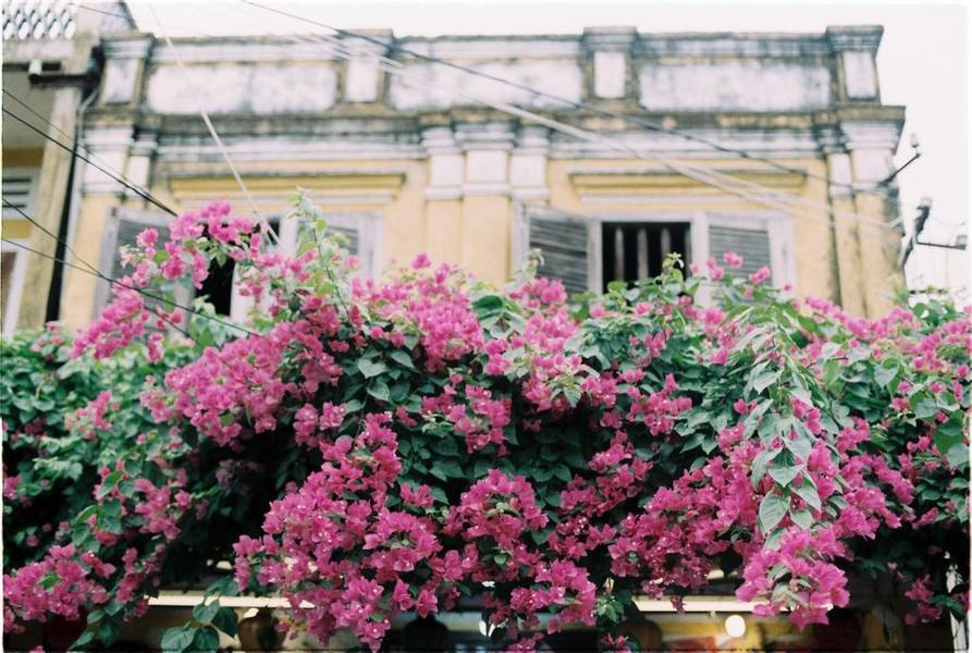 Du lịch hội an tháng 7 có gì đẹp