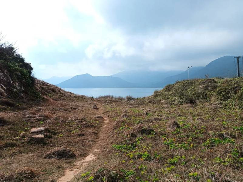 Đường vào mũi Chân Chim
