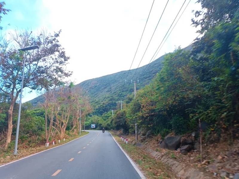 Cung đường chạy qua rừng nhiệt đới