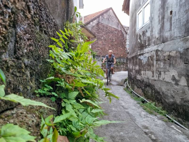 Con ngõ quen thuộc của người dân Yên Trường