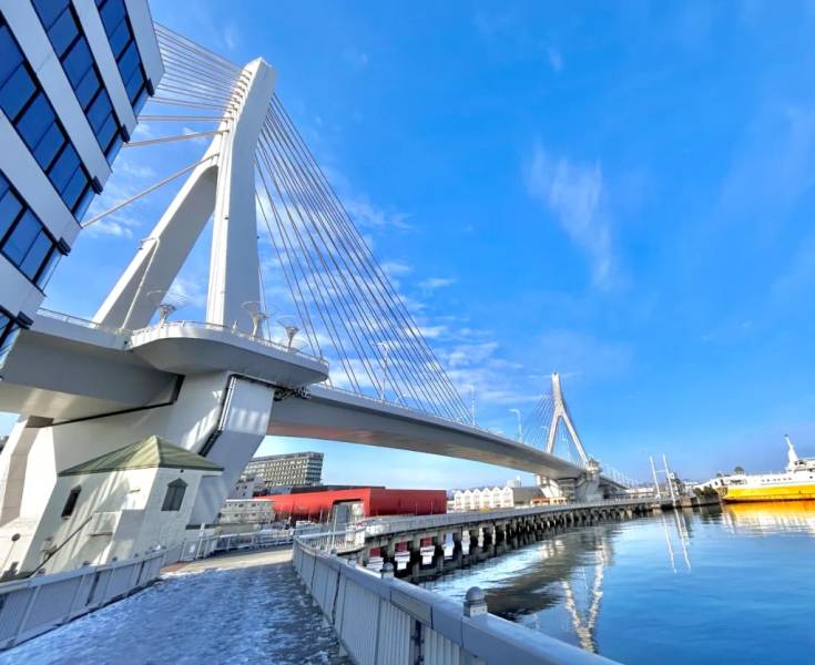 Aomori Ladbrige