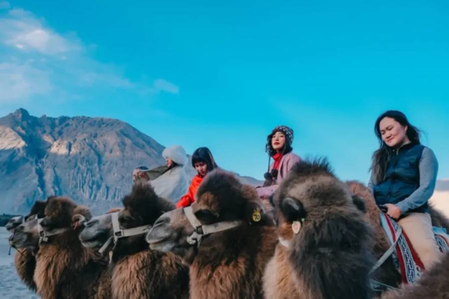 Cưỡi lạc đà ở Hundar, thung lũng Nubra