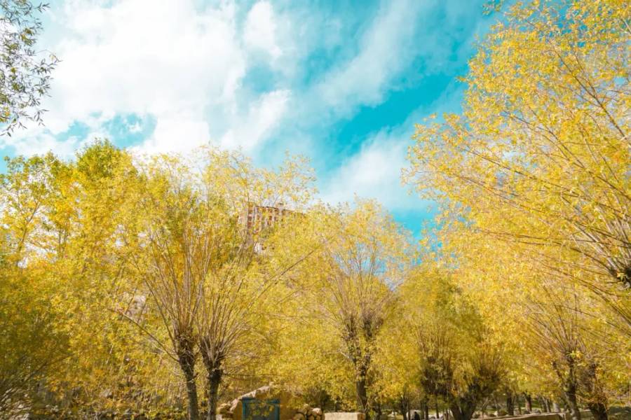 Mùa thu ở Ladakh - du lịch Ladakh