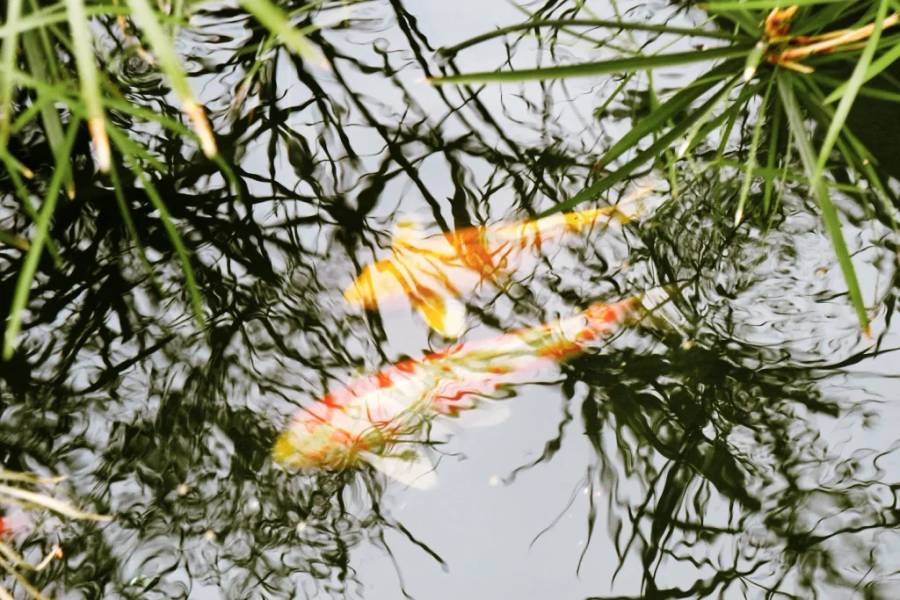 Con phố phong cách Nhật Bản - Think Park