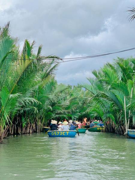 rừng dừa Bảy Mẫu