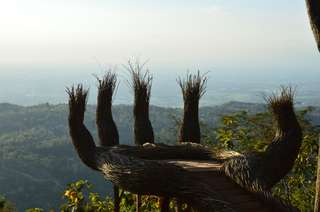 Hutan Pinus Pengger: Lokasi, Jam Buka, dan Daya Tarik, Mas Bellboy