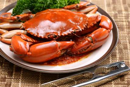 Chili Crab Craze: Singapore's Delectable Delight!, SEO Global