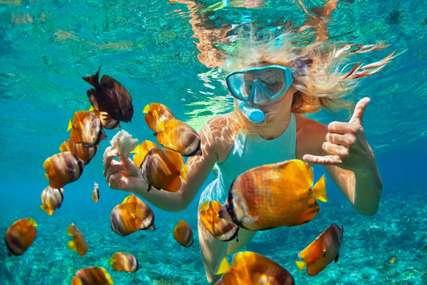 5 Spot Diving di Bali yang Menarik, Wajib Dicoba Sekali Seumur Hidup!, Xperience Team