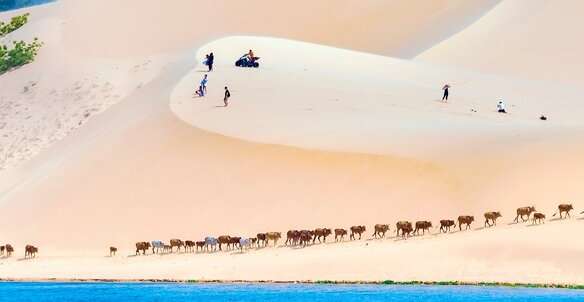 Top 20+ địa điểm du lịch Phan Thiết đáng ghé thăm 2025