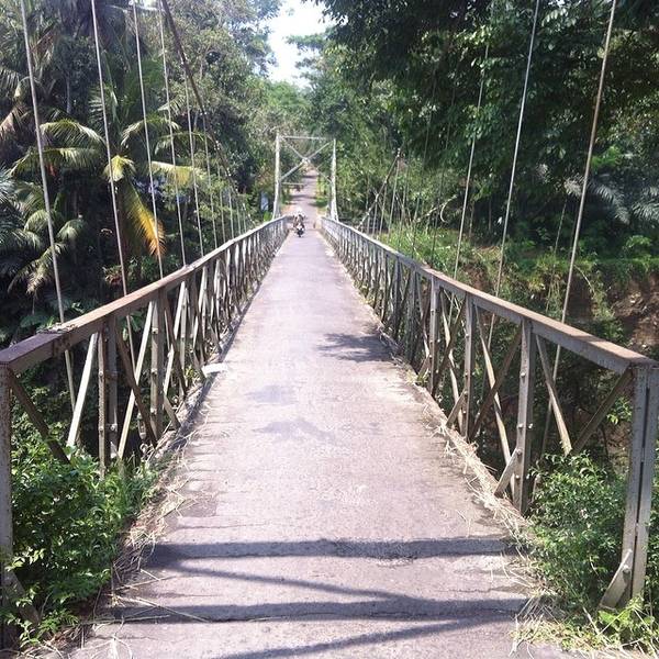 Alasan Perlu Mencoba Bungee Jumping Jogja