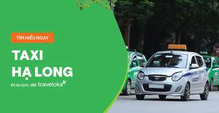Top 6 hãng taxi Hạ Long uy tín và chuyên nghiệp nhất 2026, Nguyễn Thụy Mộc Nhiên