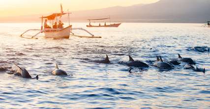 10 Best Wildlife Experiences in Bali for Nature Lovers (2026), Xperience Team