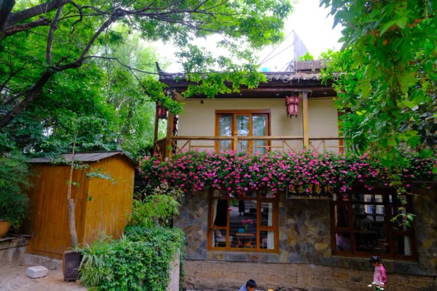 Góc cây và hoa tại Đại Nghiên