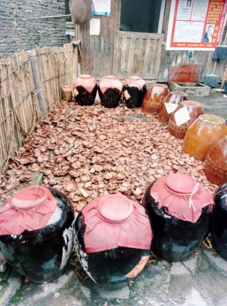 Chum rượu và những mảnh chén vỡ