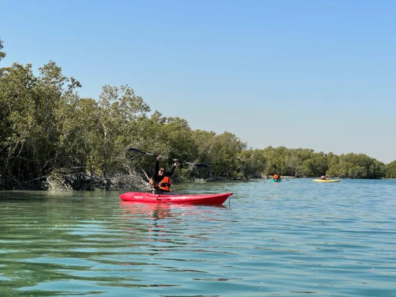 Chèo kayak tại Rừng ngập mặn Abu Dhabi