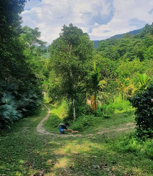 Khu bảo tồn thiên nhiên Vũ Quang