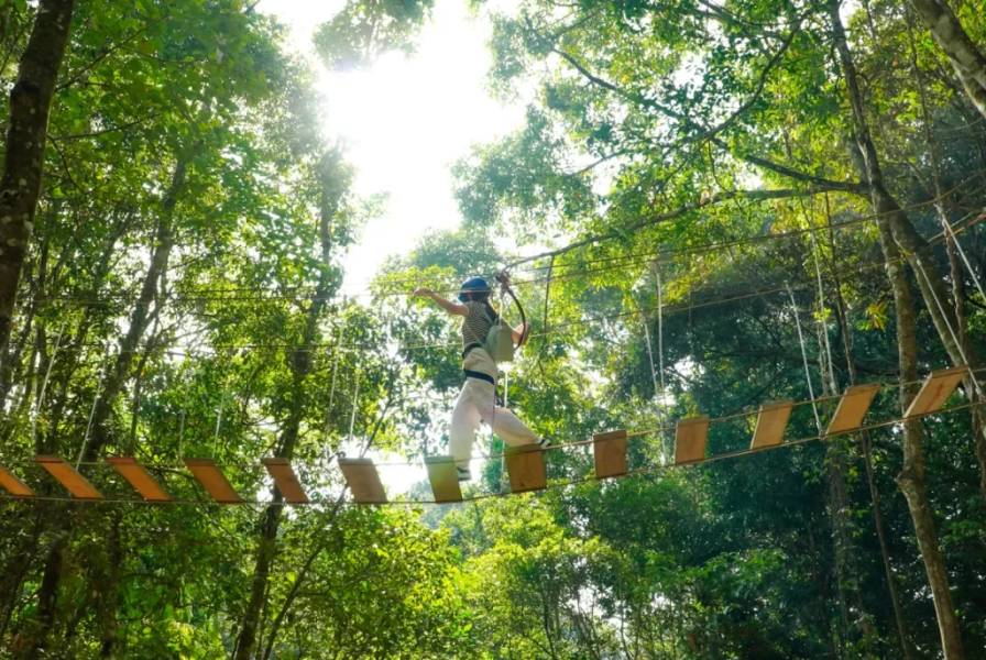 Thử thách bản thân với trò chơi High Rope Park mạo hiểm