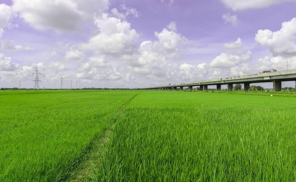 Long An thuộc miền nào