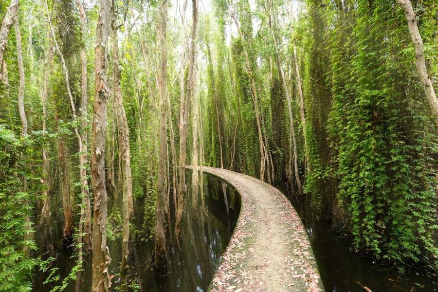 làng nổi Tân Lập