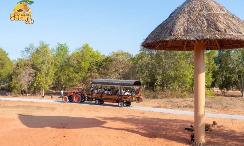 Không gian rộng lớn của Safari Cafe Phan Thiết