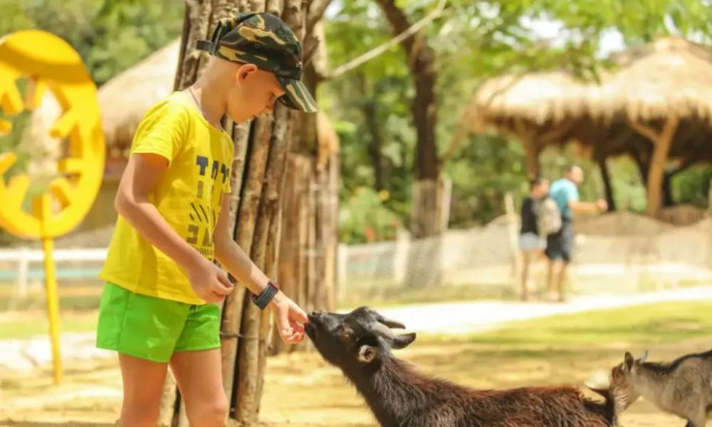 Tương tác với động vật tại Safari Cafe Phan Thiết