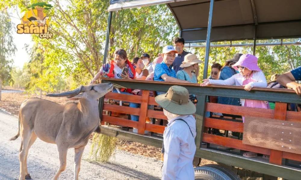Gặp gỡ các động vật ngay trong khuôn viên Safari Cafe Phan Thiết