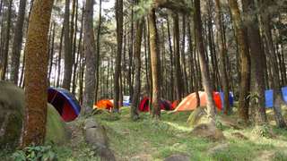 5 Rekomendasi Glamping Sentul untuk Dikunjungi Bersama Keluarga, Mas Bellboy