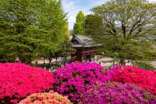 Recommended Tourist Attractions during Silver Week in Japan, SEO Global