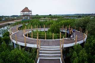Mangrove Ketapang: Harga Tiket, Fasilitas, dan Tips Sebelum Berkunjung, Mas Bellboy