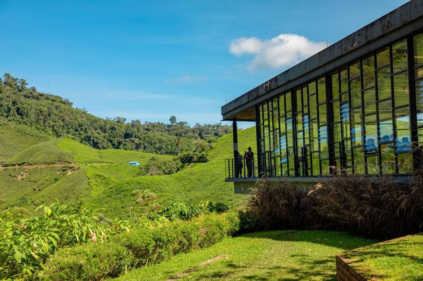  BOH Tea Centre is a tea plantation located in Cameron Highlands. 