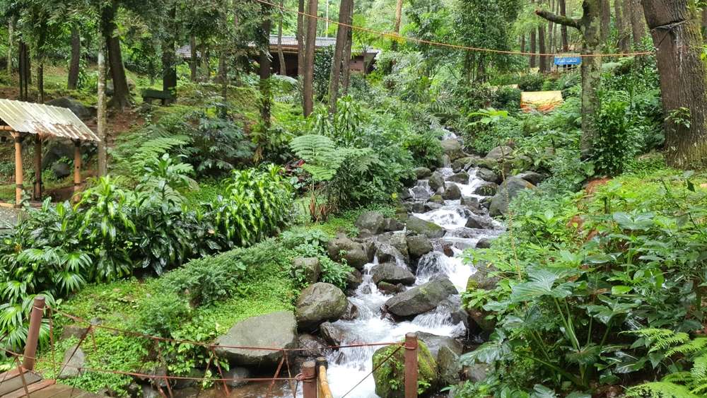 Curug Ciburial, Pesona Air Terjun di Pedalaman Hutan Bogor
